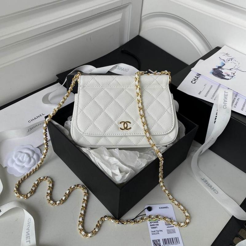 Chanel Handbags 172